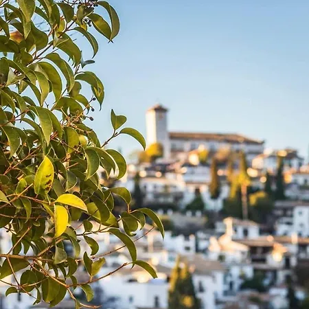 Reina Cristina Granada
